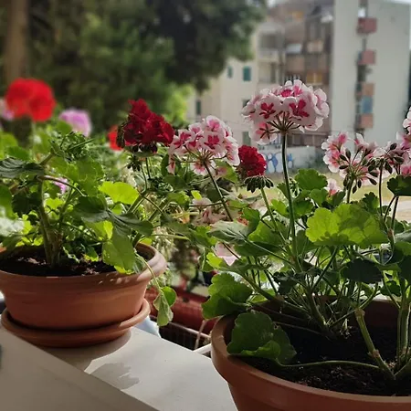 Symphony With Balcony