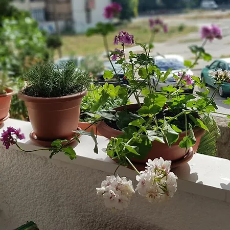 Symphony With Balcony Appartement Split