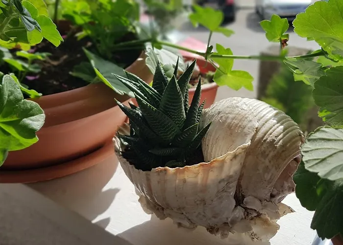 Appartamento Symphony With Balcony Spalato