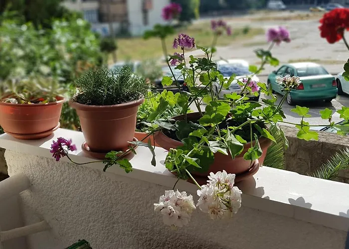 Symphony With Balcony Appartamento Spalato